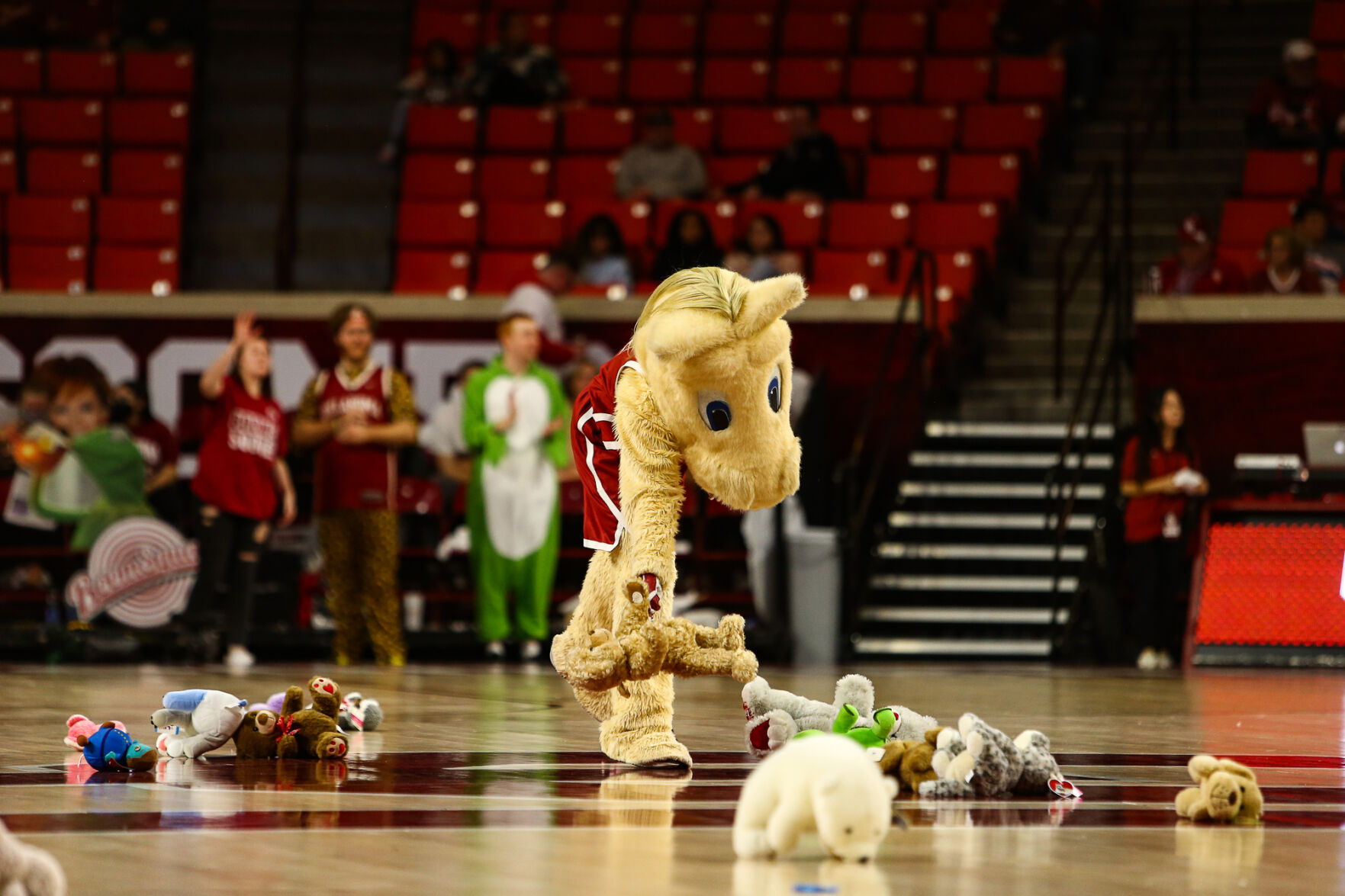 Teddy Bear Toss
